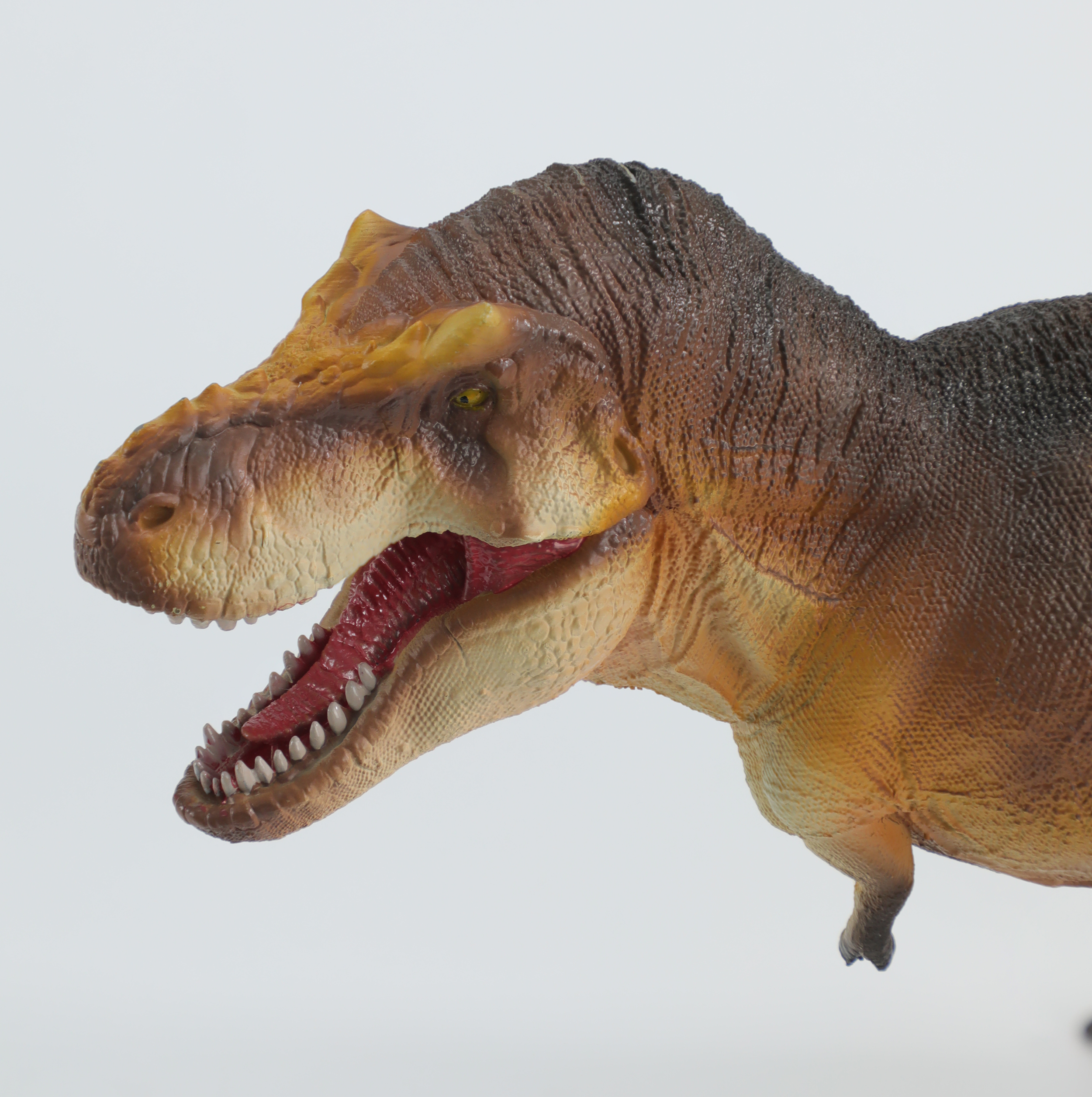 Tyrannosaurus Osborne - new in 2024 from Recur Toys — DeJankins